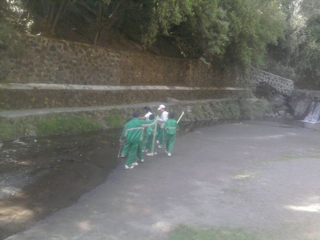Dinámica