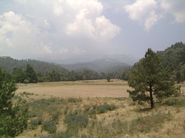 Un buen lugar
