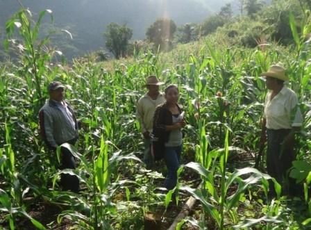 Preparación de la zona productiva