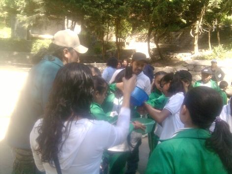 Preparando grupos